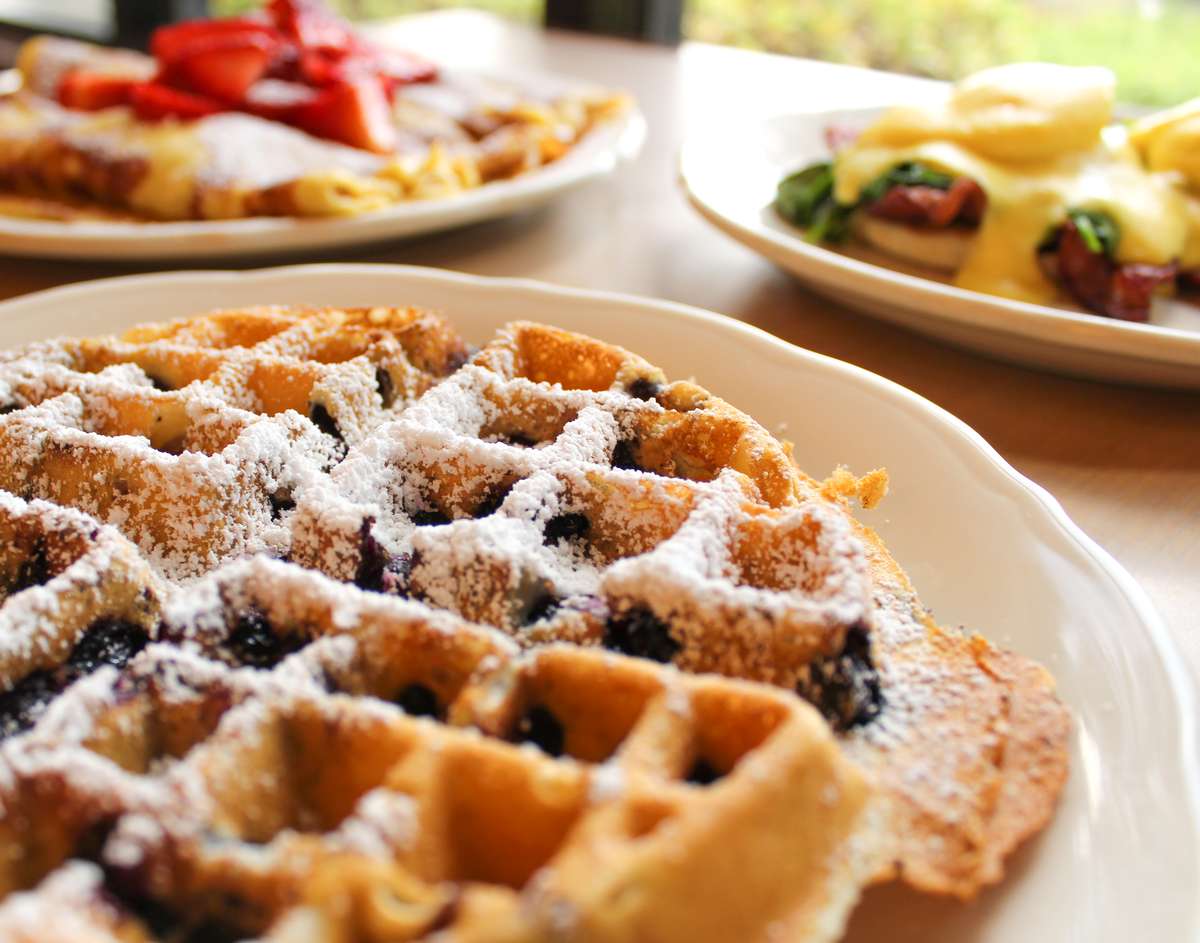 Blueberry waffle