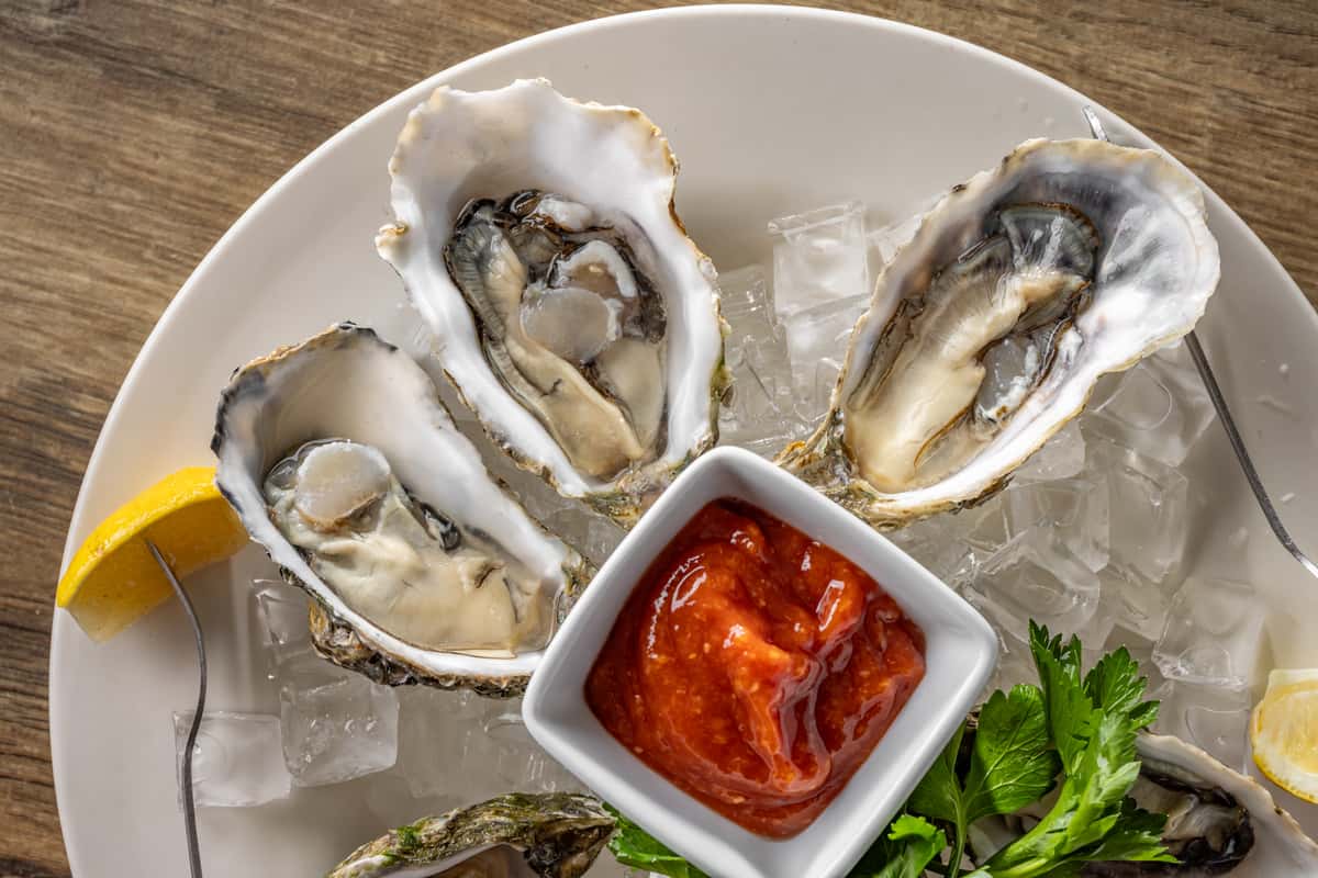 Oysters
