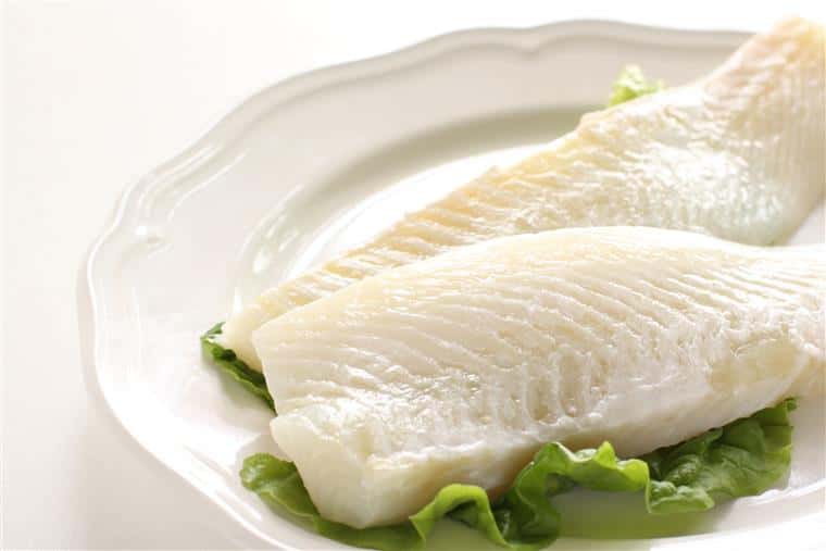jersey flounder