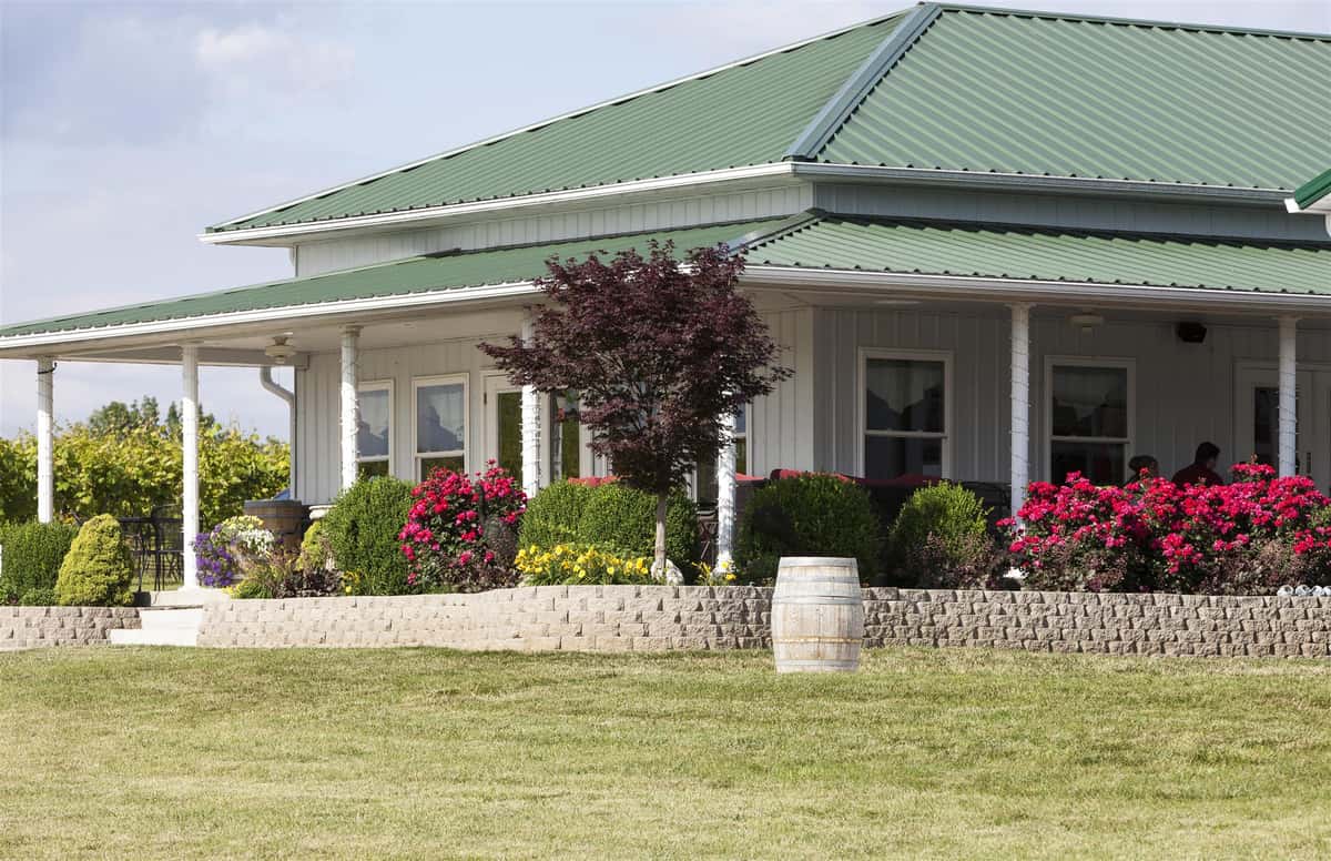 Twin Oaks Vineyard