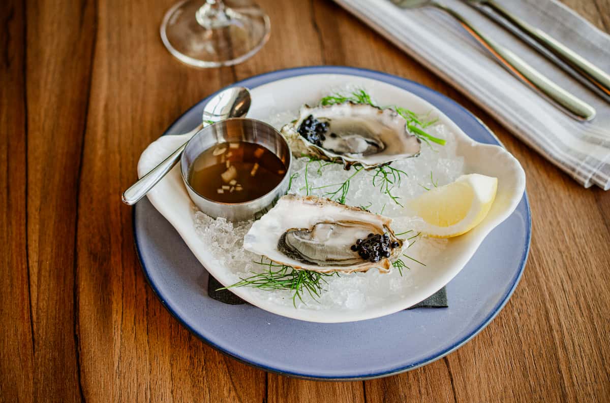 oysters