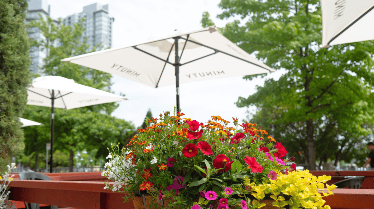 Provence Marinaside Patio | Yaletown | Vancouver
