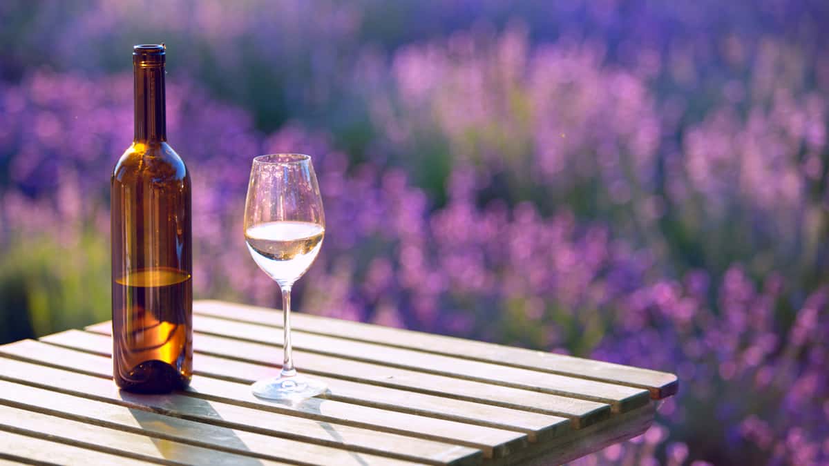 From Provence to the Plate: South of France Wines &amp; Vancouver's Largest Wines-by-the-Glass List at Provence Marinaside