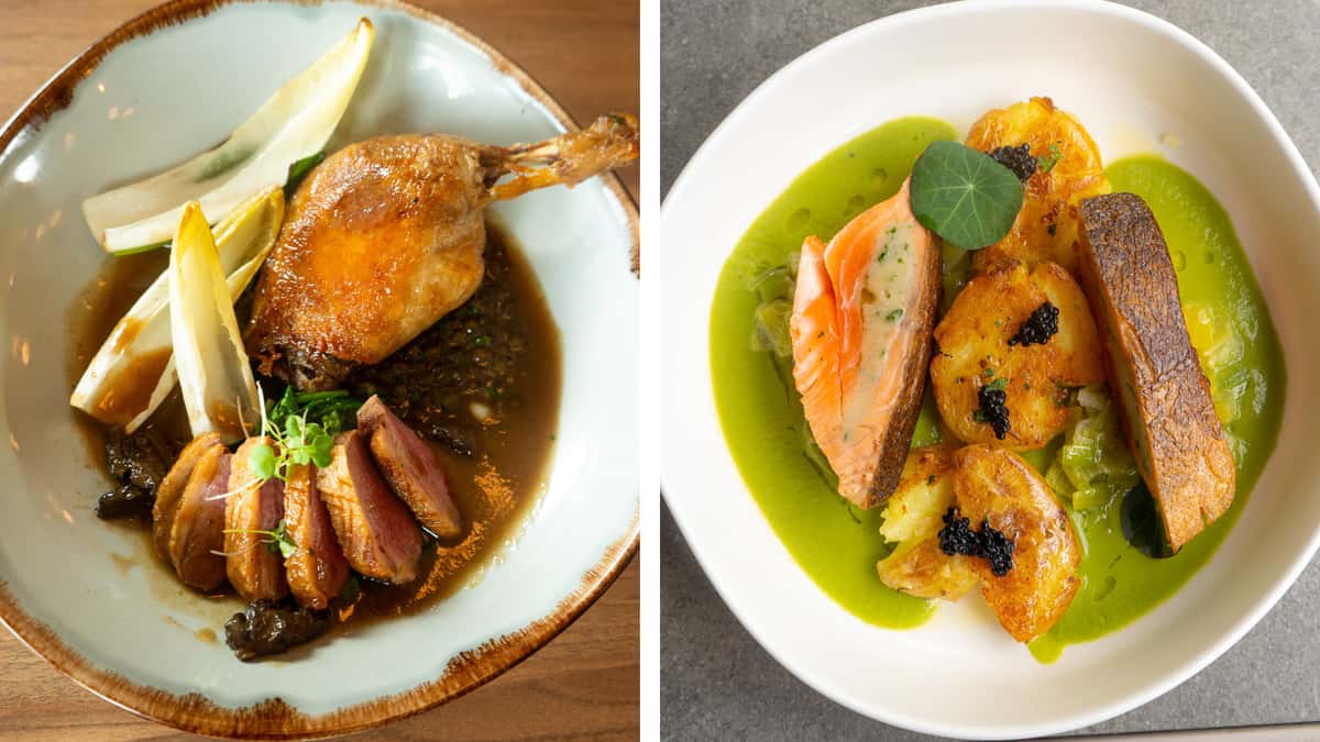 Duo of Lamb & steelhead | Fall Menu 2026