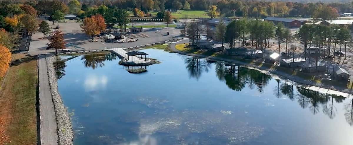 pond view