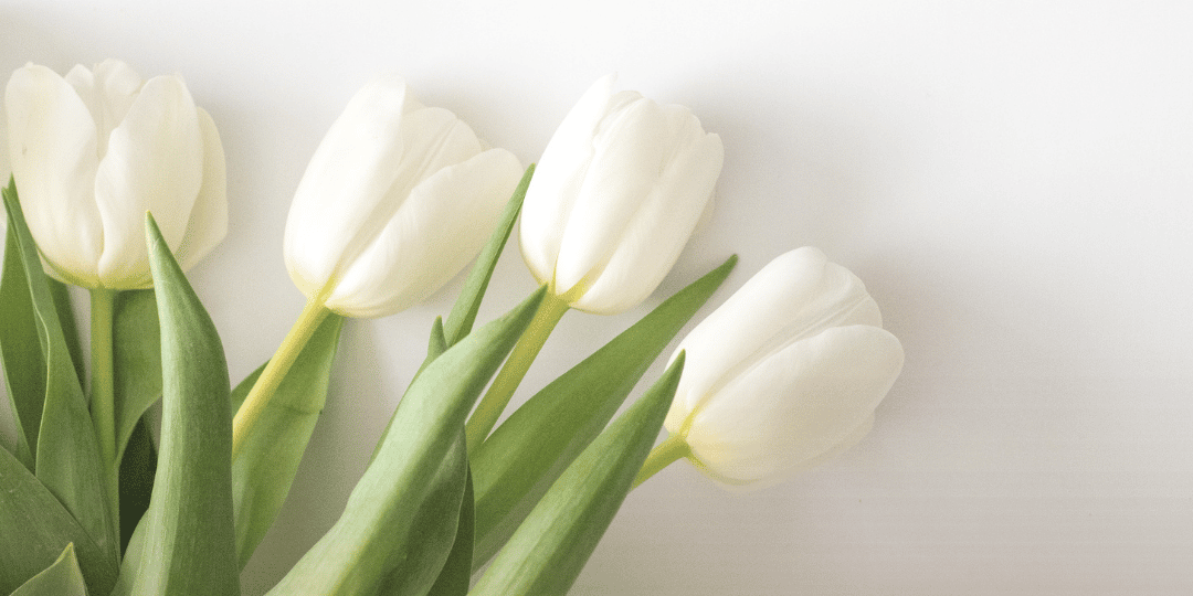 mother's day background