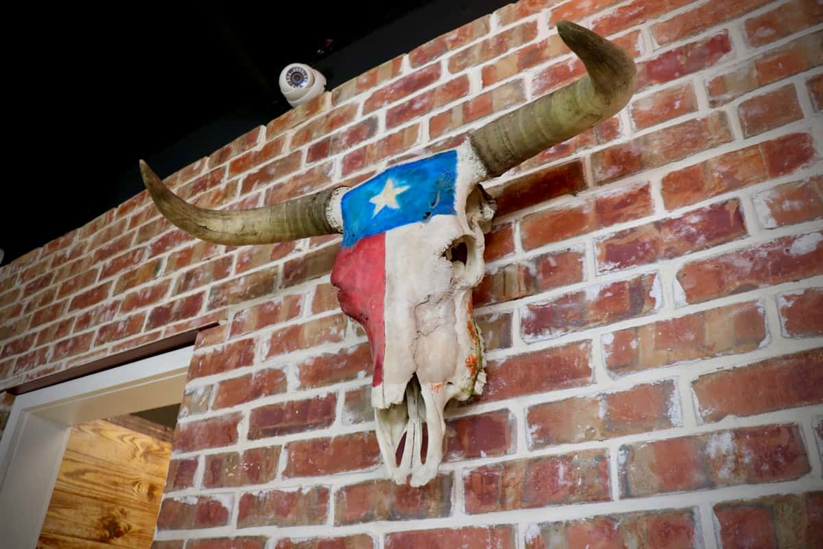long horn skull mounted on wall and painted with Texas flag
