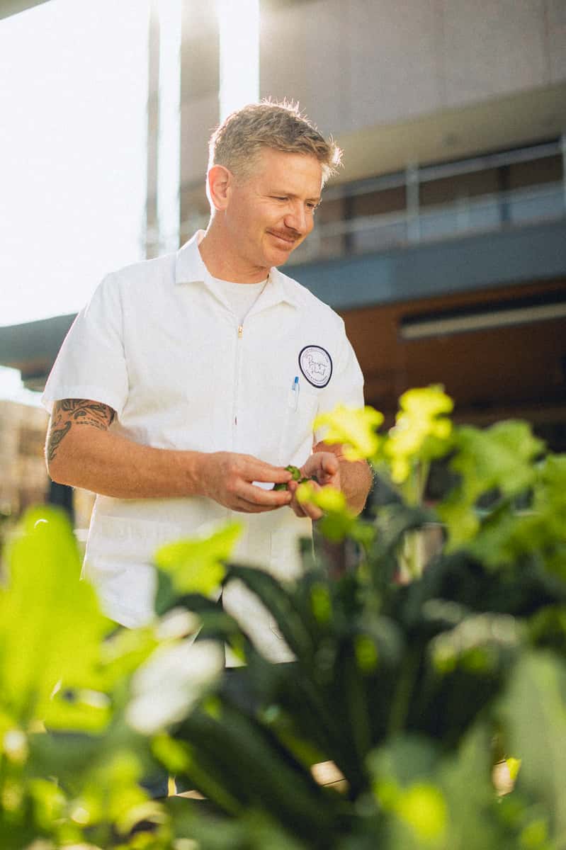 chef in the garden