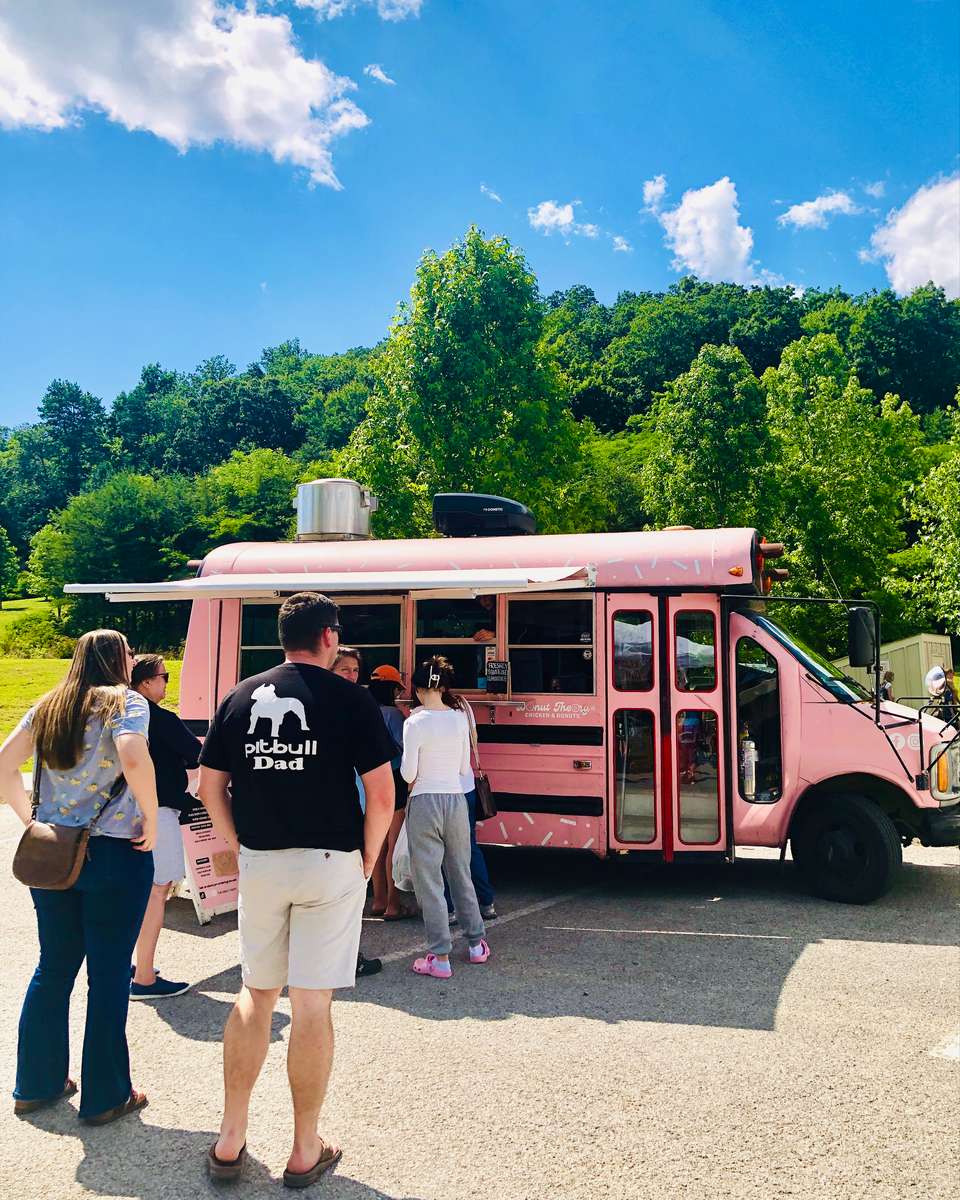People lining up at a vibrant pink food truck parked in a sunny outdoor setting with lush green trees in the background — the retro-style truck serves donuts and fried chicken, creating a fun, nostalgic vibe at a local food event.