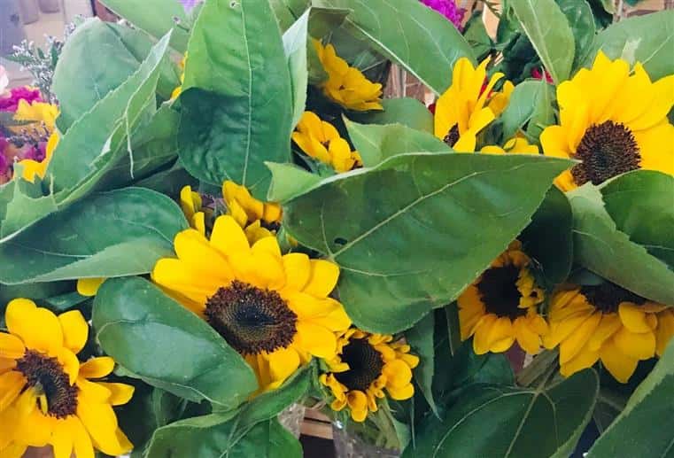 sunflowers in market