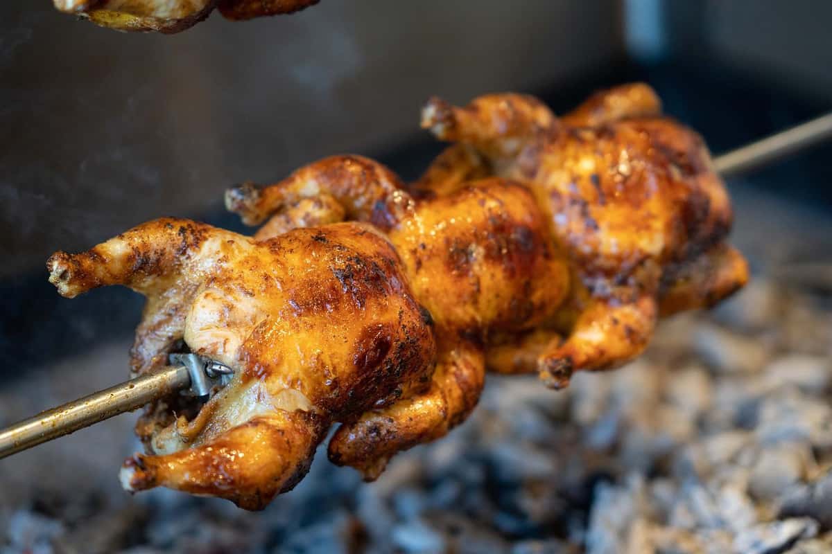 chicken