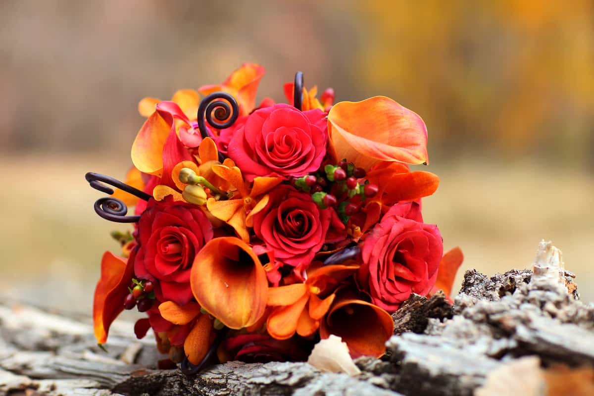 flowers