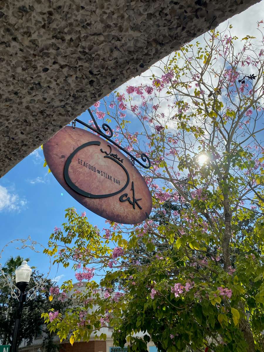 Things to do In Safety Harbor Downtown