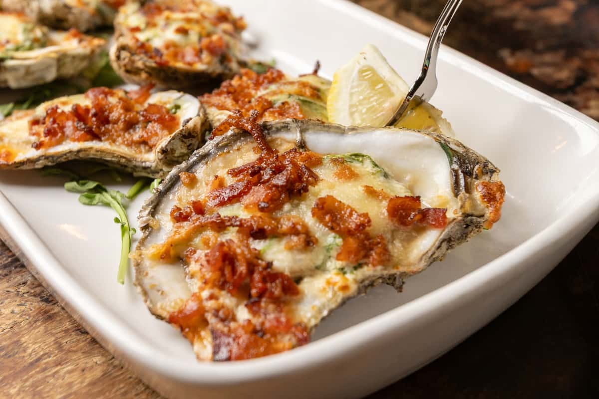 Best Oysters in Tampa Bay
