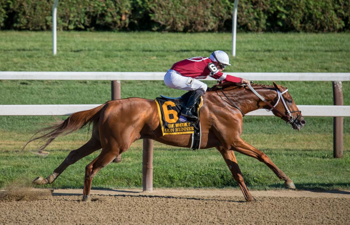 Chestnut racehorse named Gun Runner in full stride with jockey in maroon and white silks during The Whitney Stakes at a professional horse racing track — competitive thoroughbred racing action.