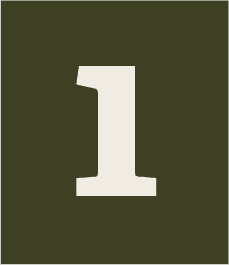 numbers