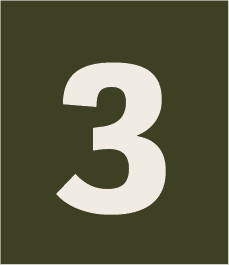 numbers