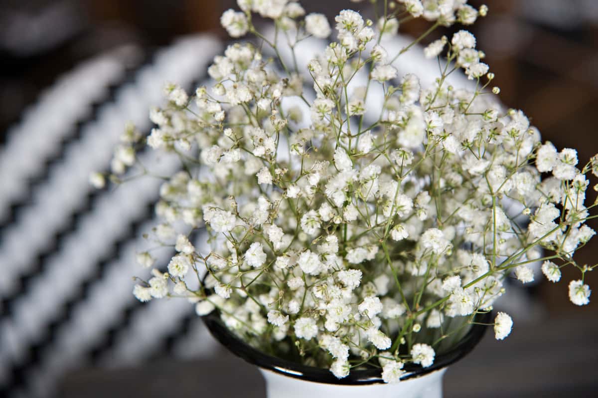 Floral arrangement