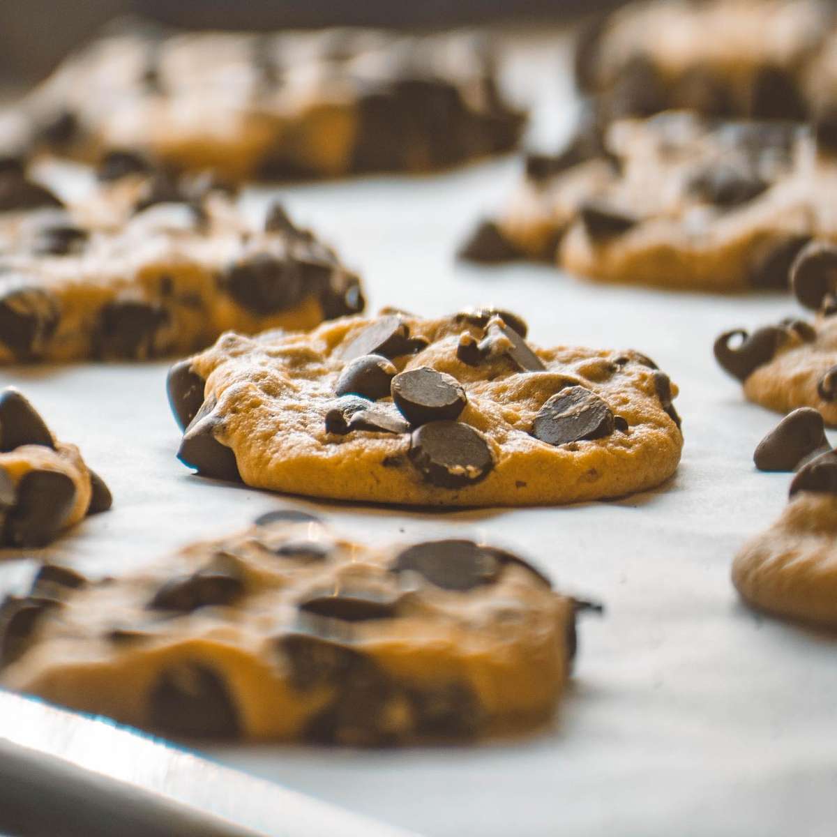 The Muffin House Cafe Muffin House Cafe Cafe in MA