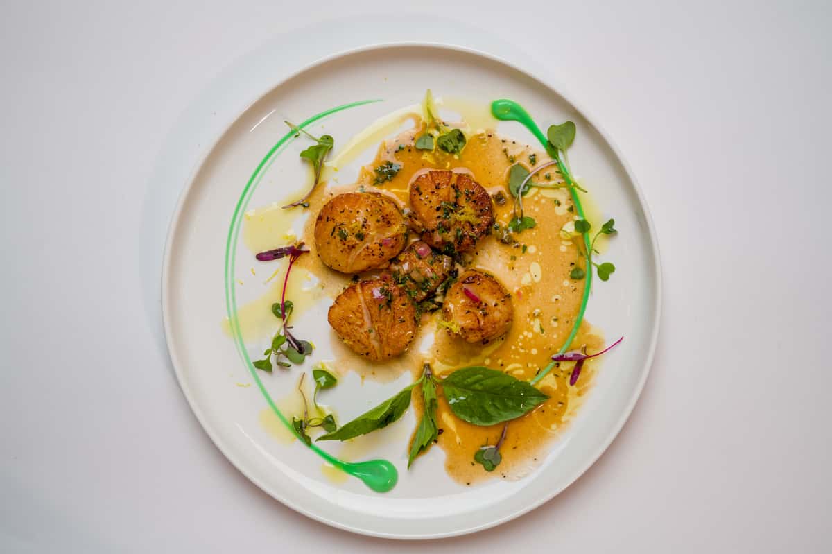 scallops
