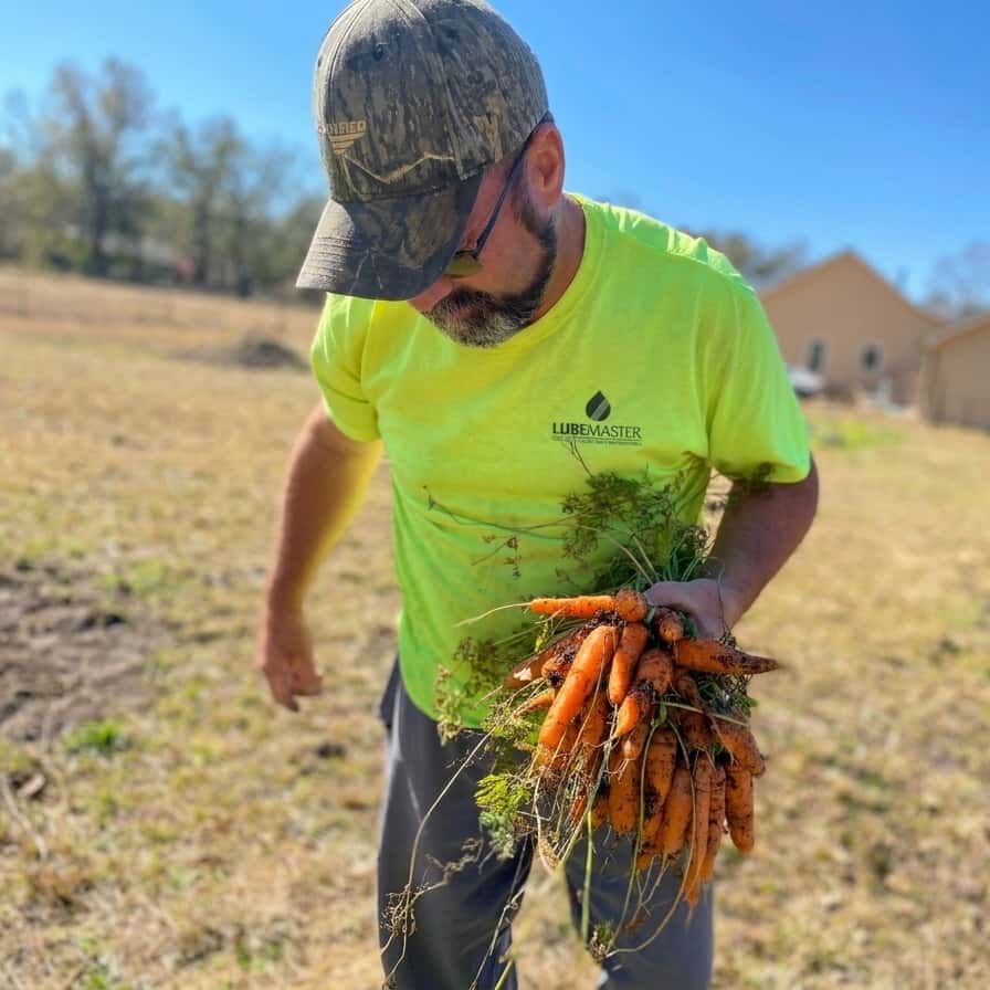 Farmer harvesting fresh heirloom carrots at Gallo D'Oro Farm, showcasing the family-grown ingredients behind Gallodoro's Taste of Italy in Ohio