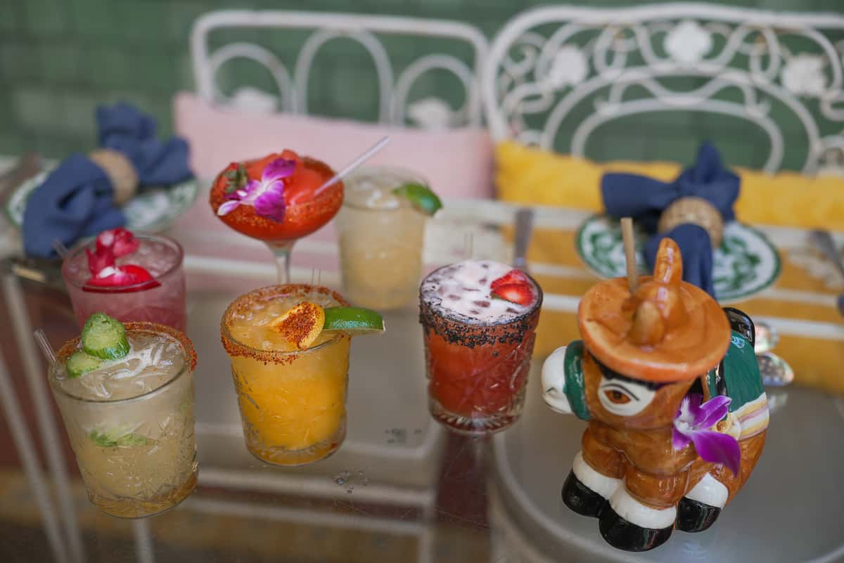 margarita assortment