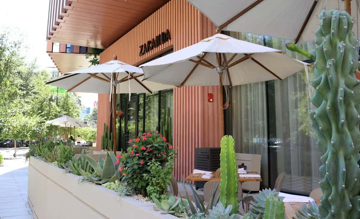 Exterior patio of Zaranda Houston restaurant with lush plants, umbrellas and stylish outdoor seating, welcoming entrance to the dining experience