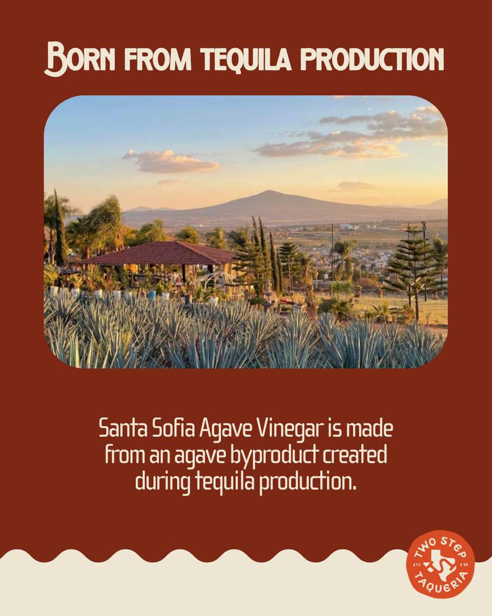 agave