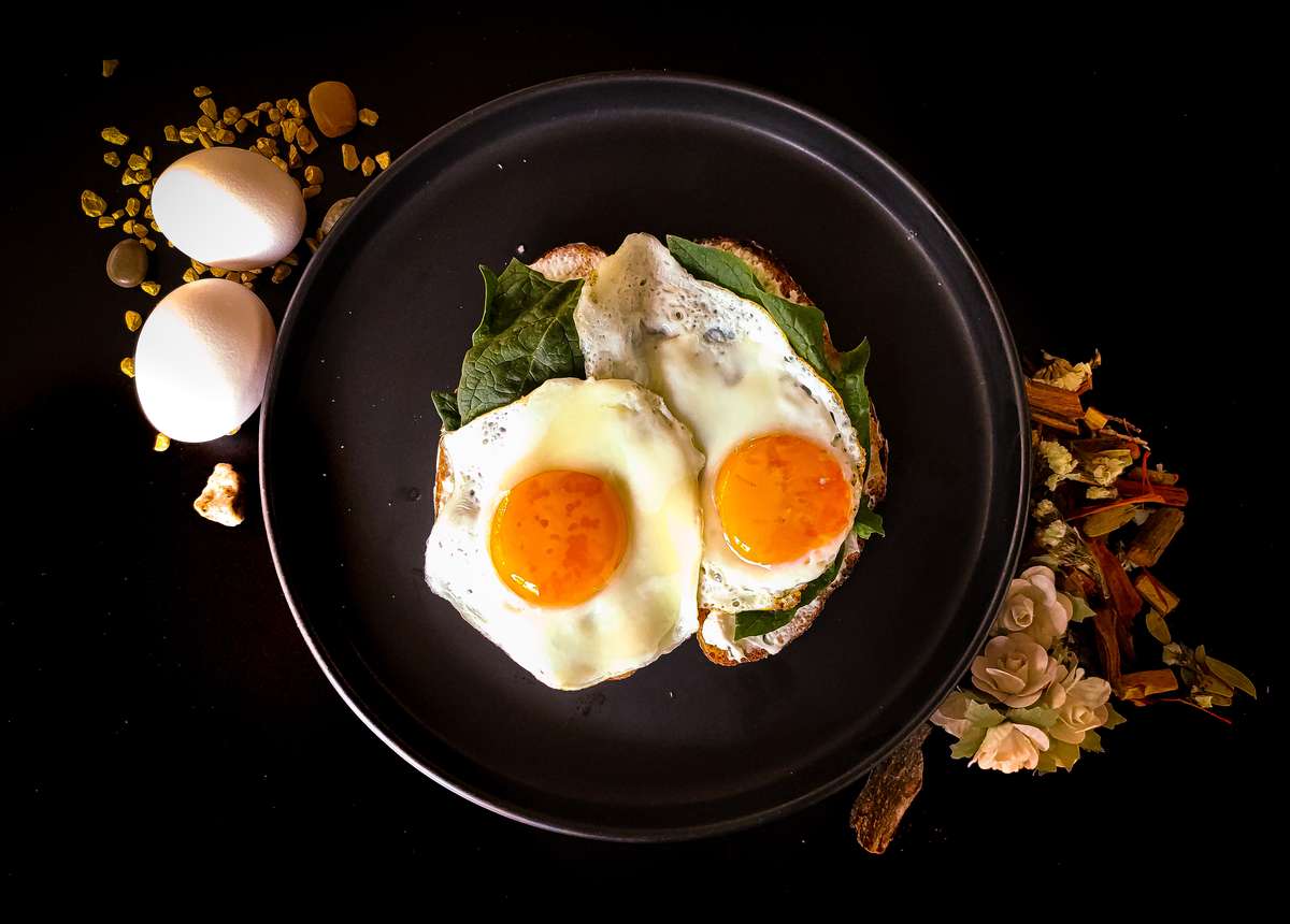 eggs