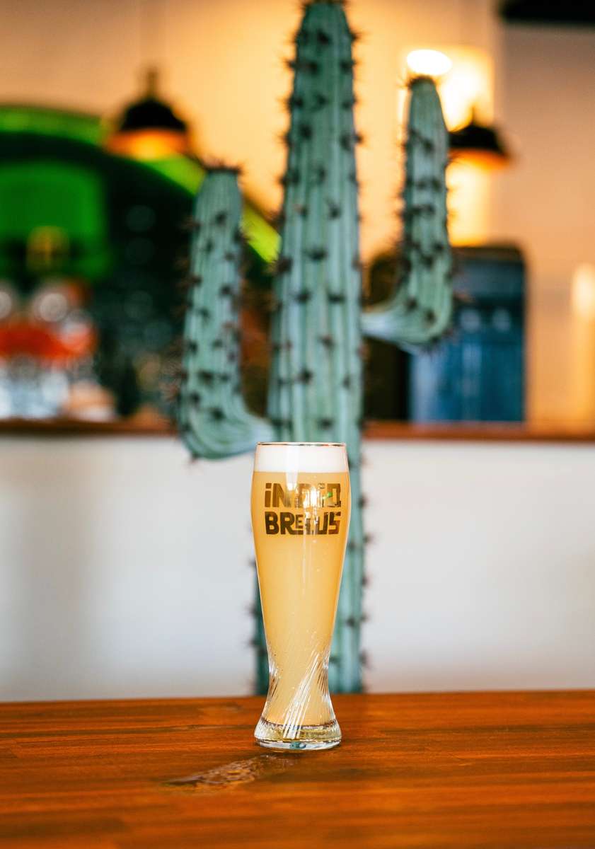 beer