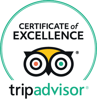 trip advisor award