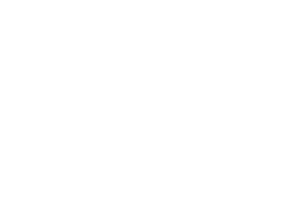 The Curious Kitchen and Bar