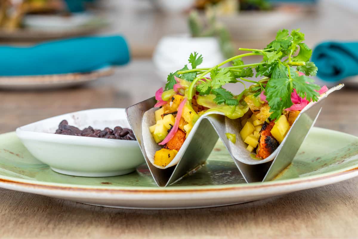 salmon tacos