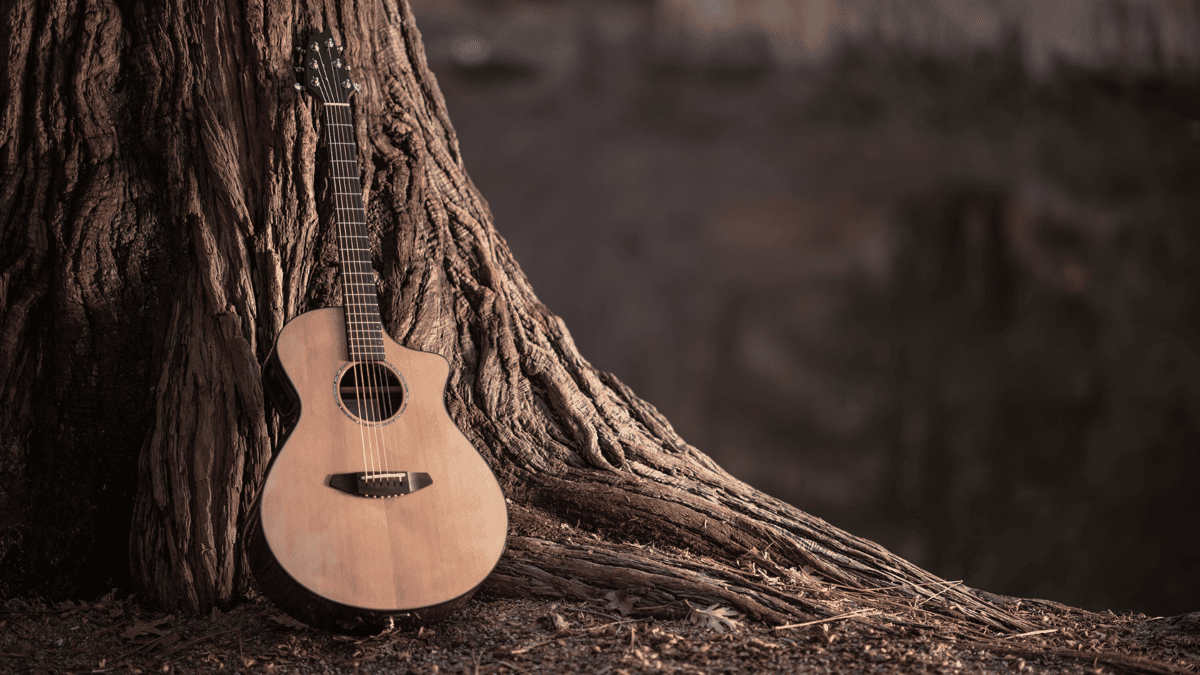 Oak & Guitar