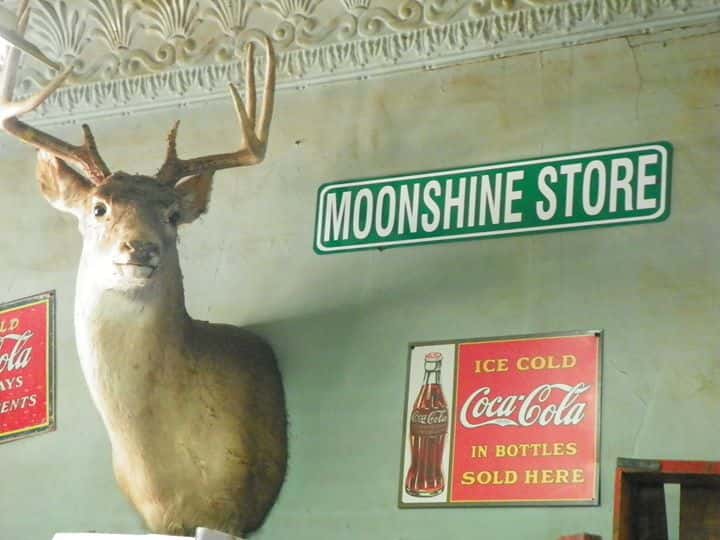 buck head and sign that reads "Moonshine Store"