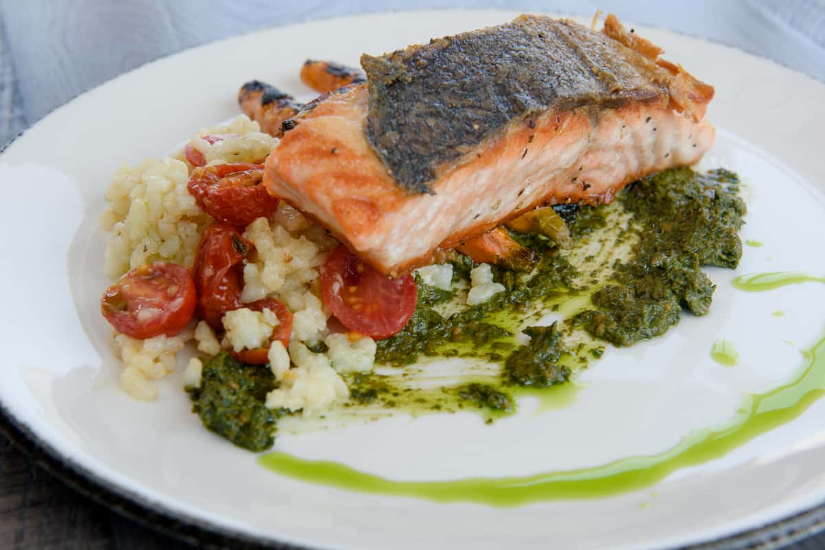 Salmon