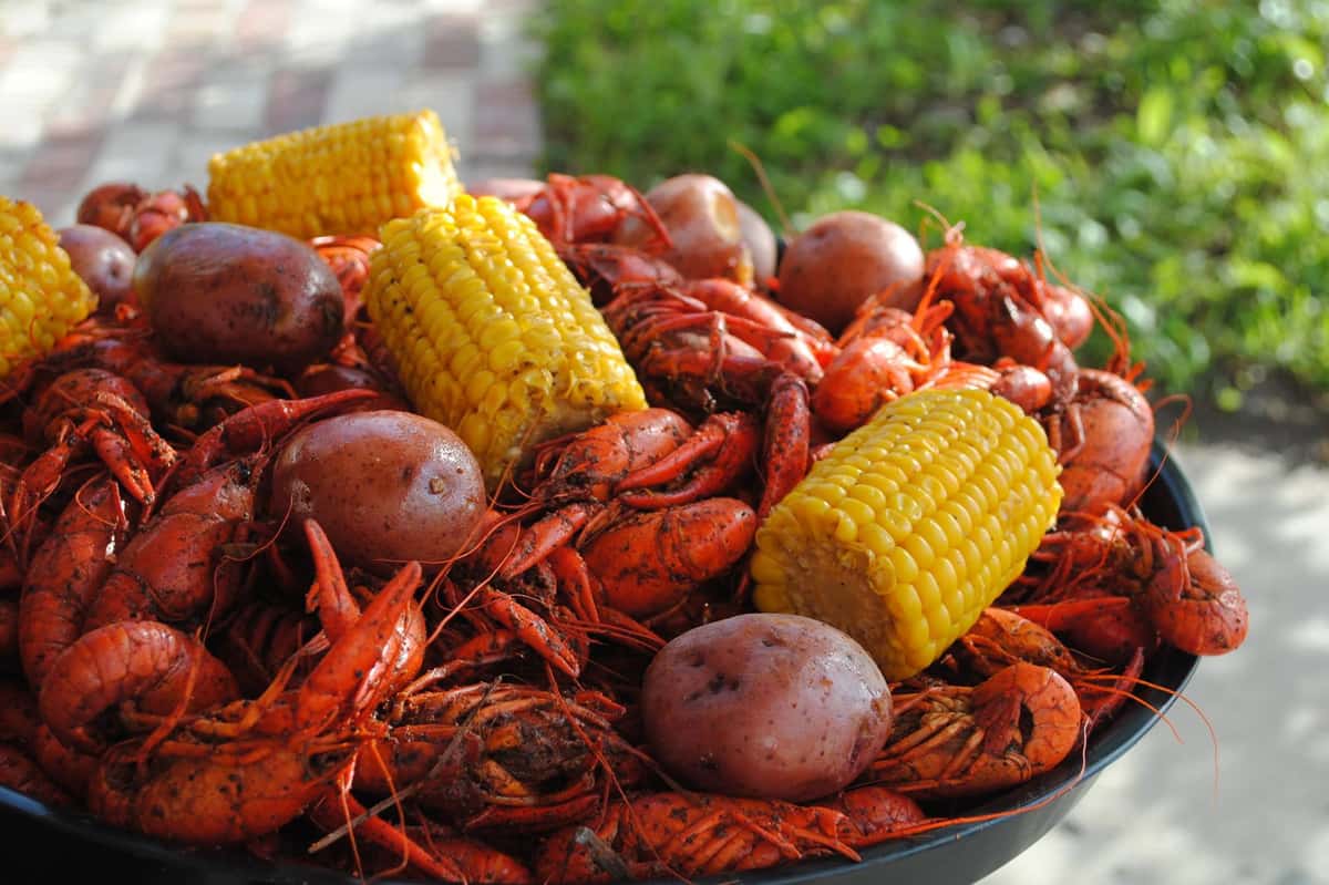 Seafood Boil with crawdads, corn on the cob, and potatoes