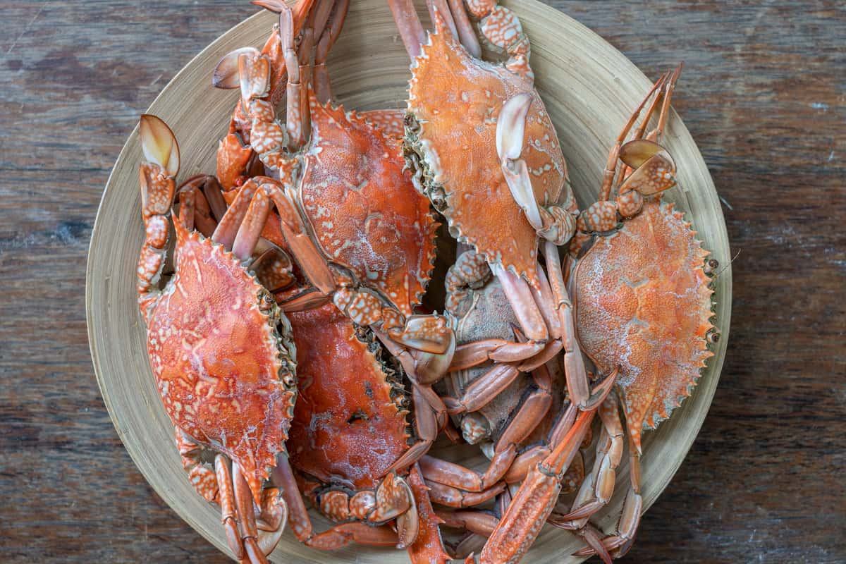 plate of steamed crabs