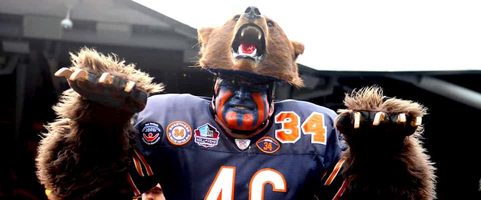 bears