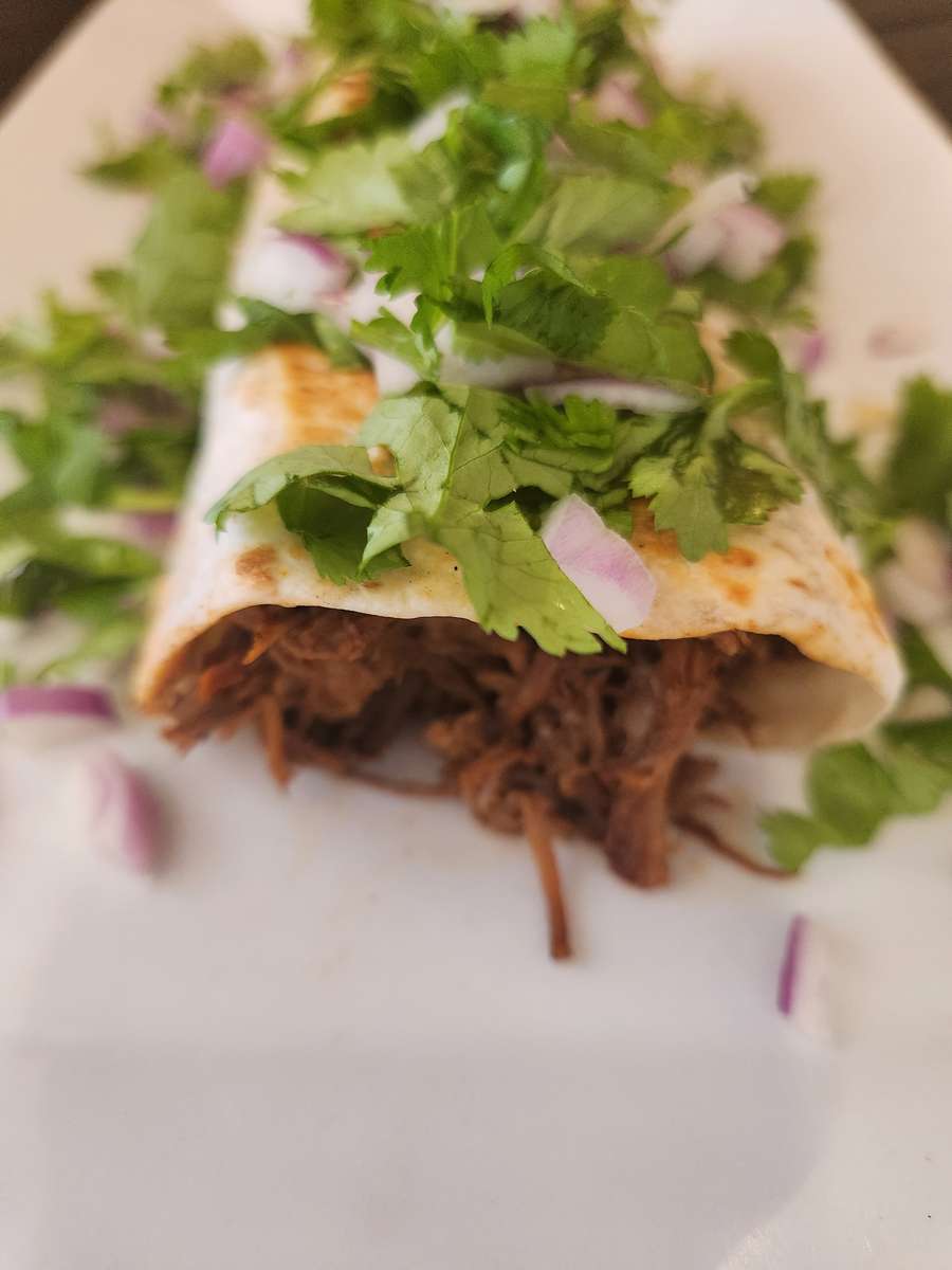 BIRRIA BURRITO