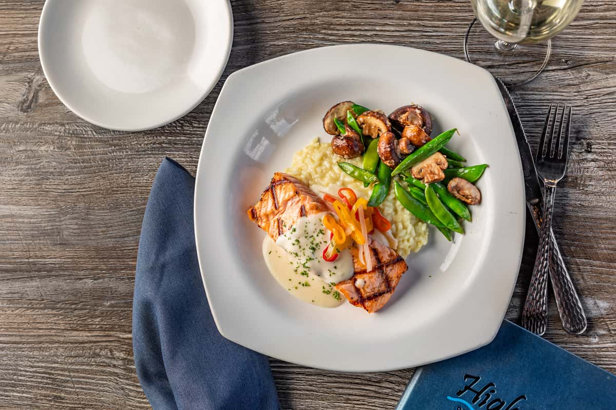 Salmon