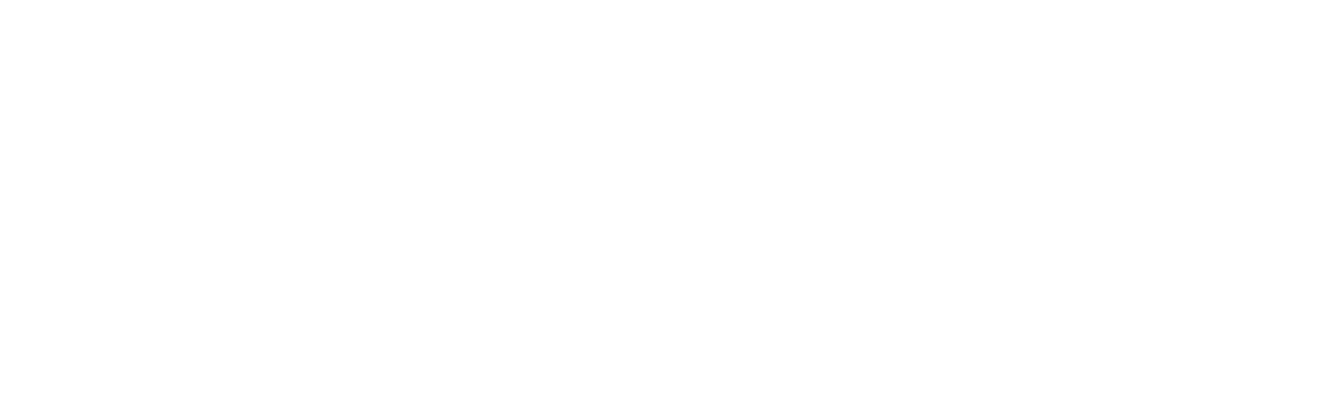 Navigation Logo