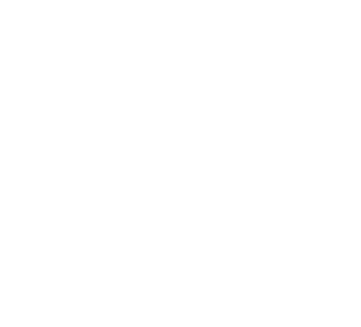 mc nally's white logo.
