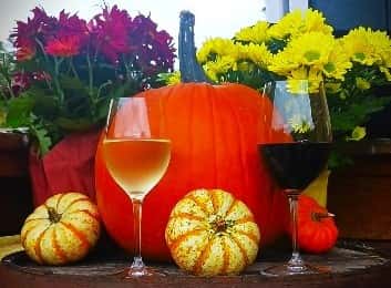 wine and pumpkins