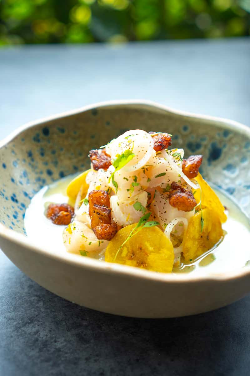 Ceviche Ginger