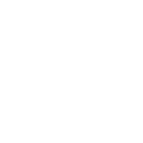 nepa white logo