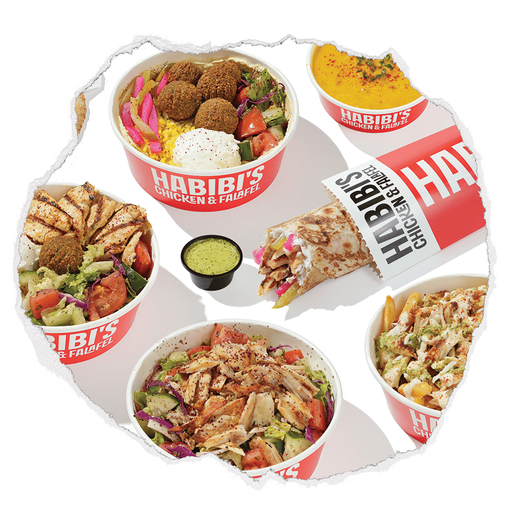 Assorted Middle Eastern dishes from Habibi's Chicken & Falafel including falafel bowls, grilled chicken salad, loaded fries, wrap sandwich, and creamy hummus with vibrant fresh toppings