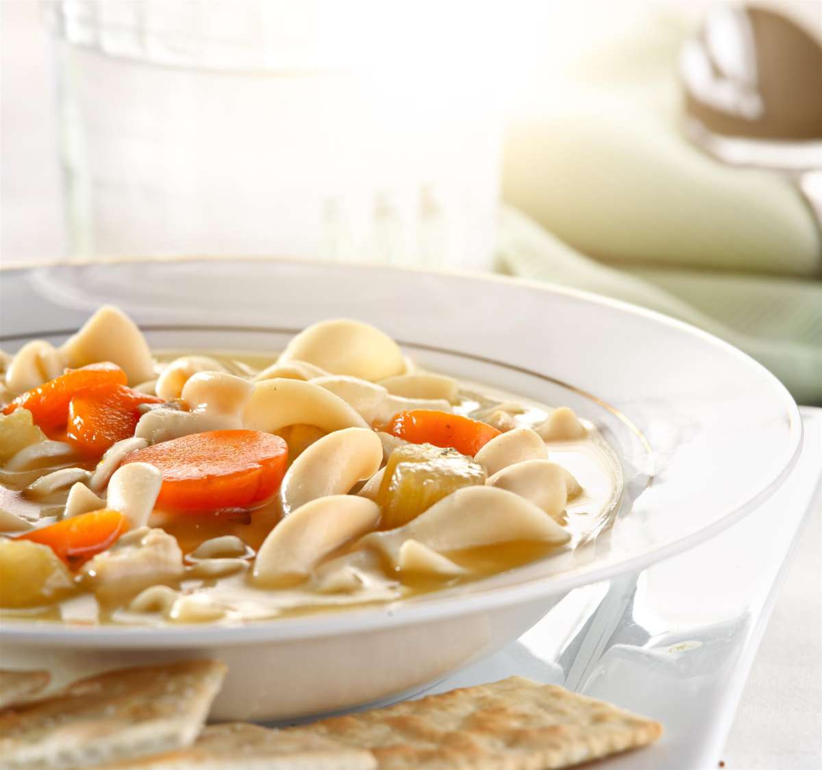 Bowl of chicken noodle soup