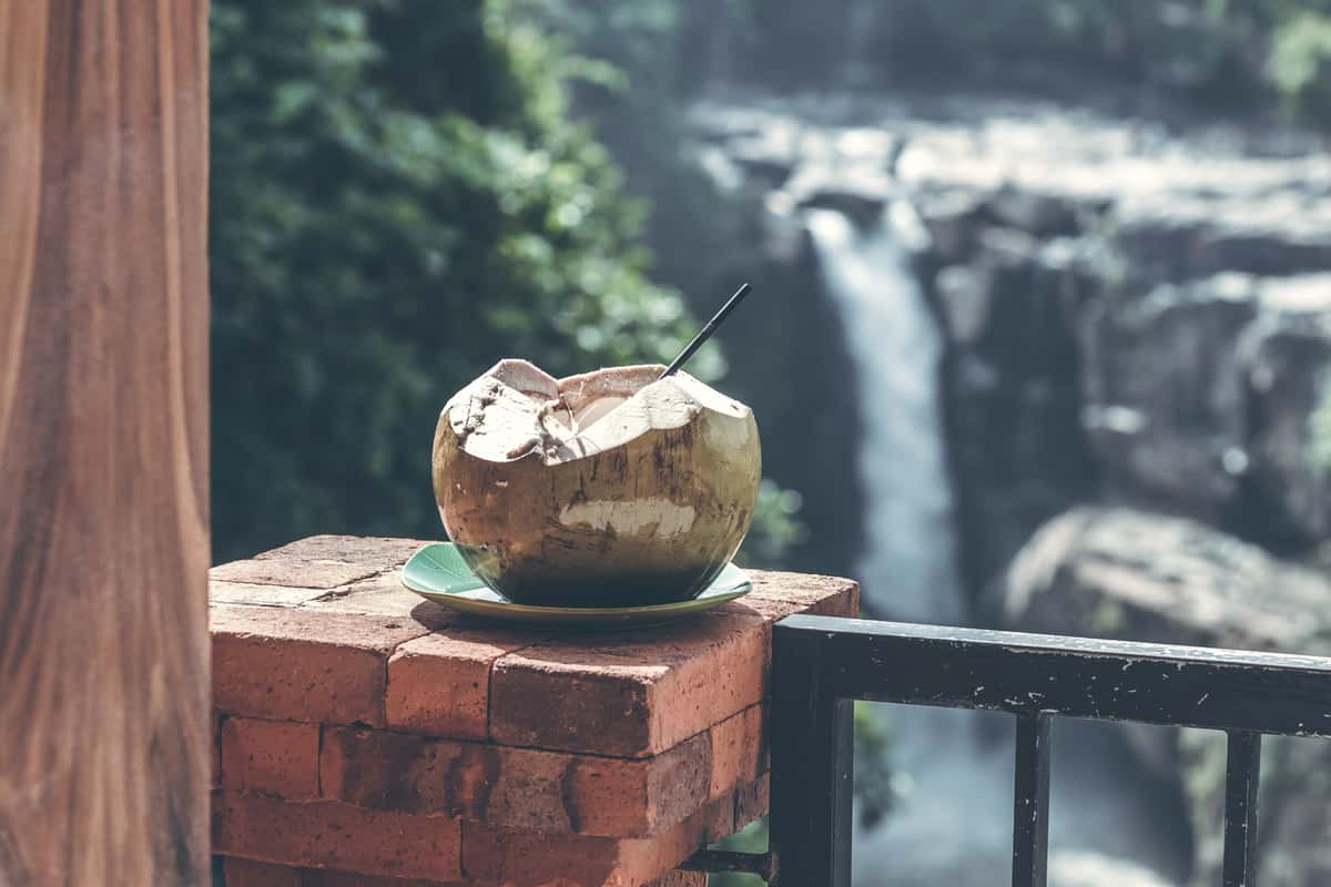 coconut and waterfall