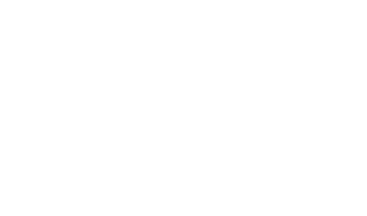 buena vida logo